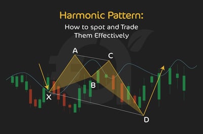 Essential Things You Need to Know About Harmonic Patterns